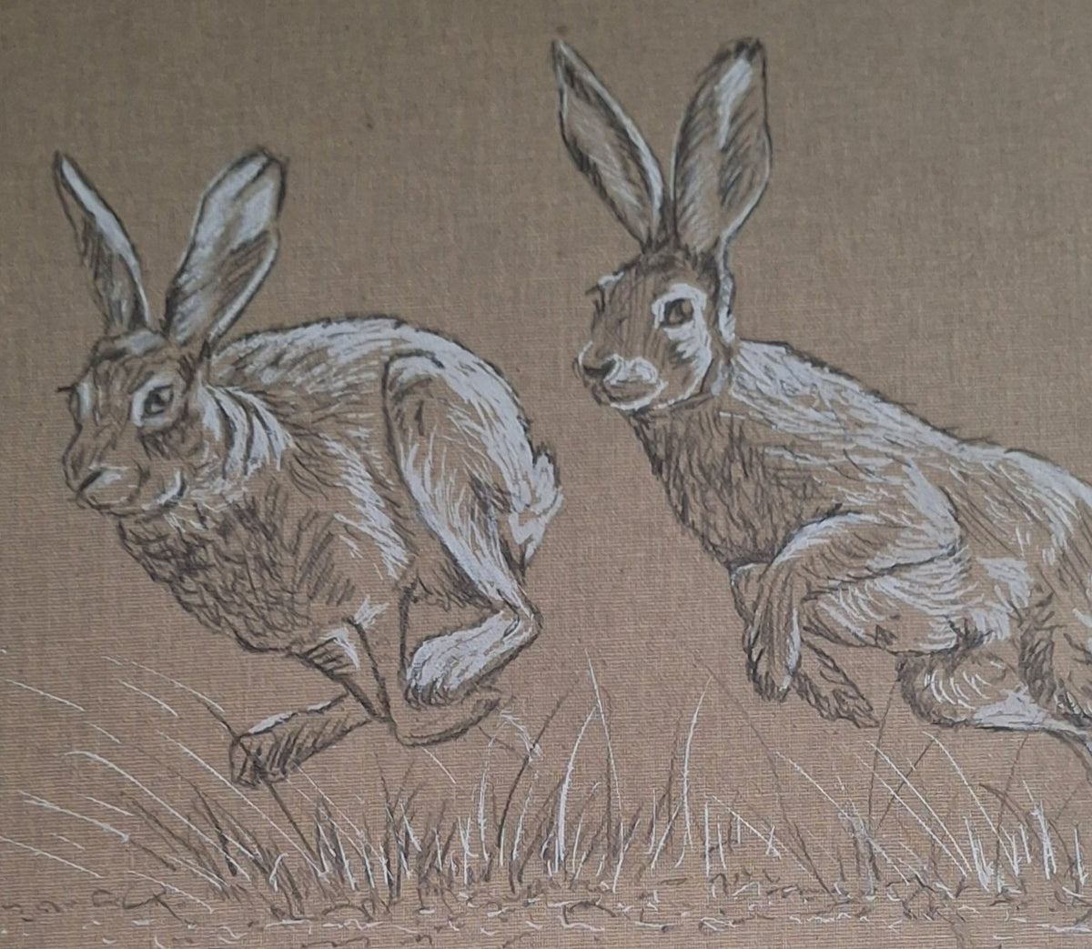 69164a62e1b8ea140711df10_two-hares-crop_1793245110595.jpg