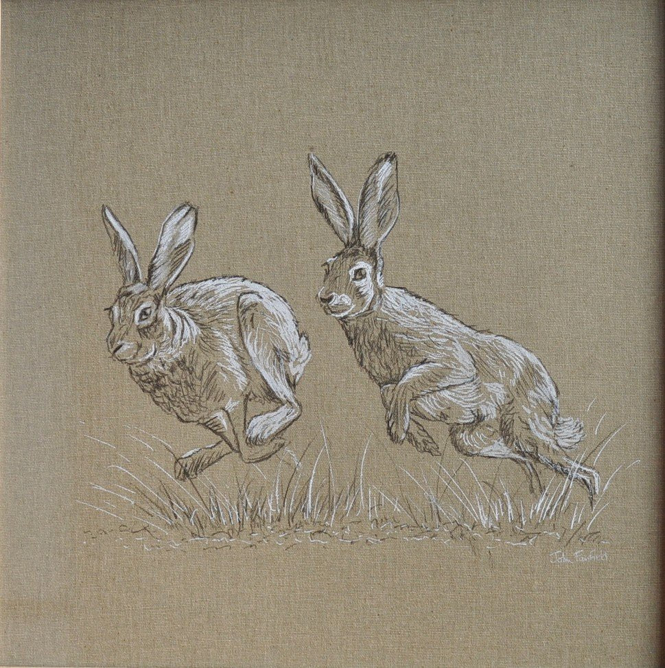 69164a62e1b8ea140711df10_two-hares2_1793245097491.jpg