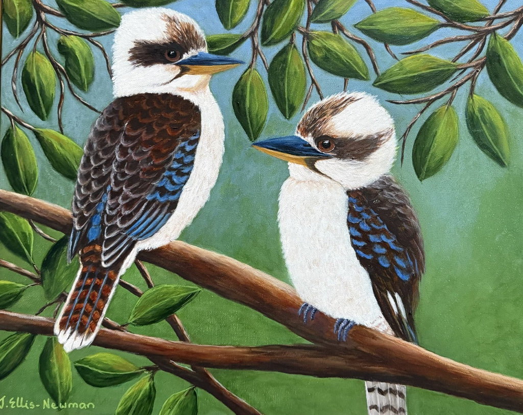 69164a62e1b8ea140711df10_two-kookaburras-without-frame_1767341211830.jpg