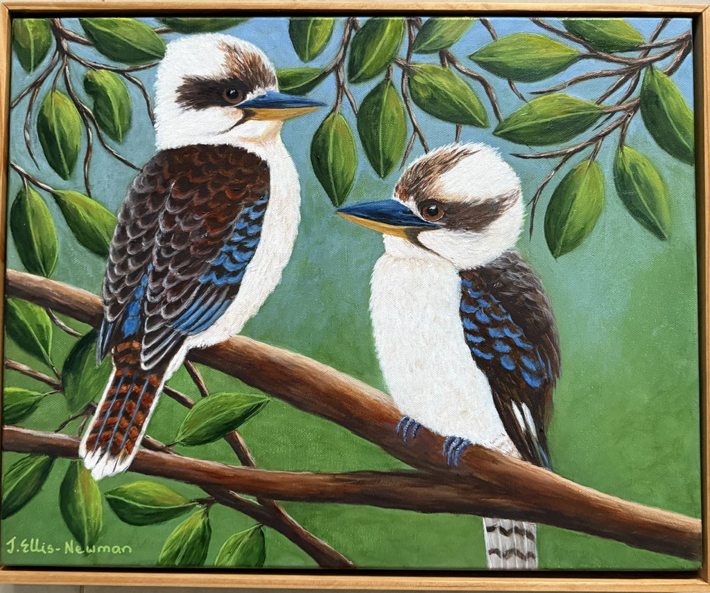 69164a62e1b8ea140711df10_two-kookaburras_1767341211831.jpg