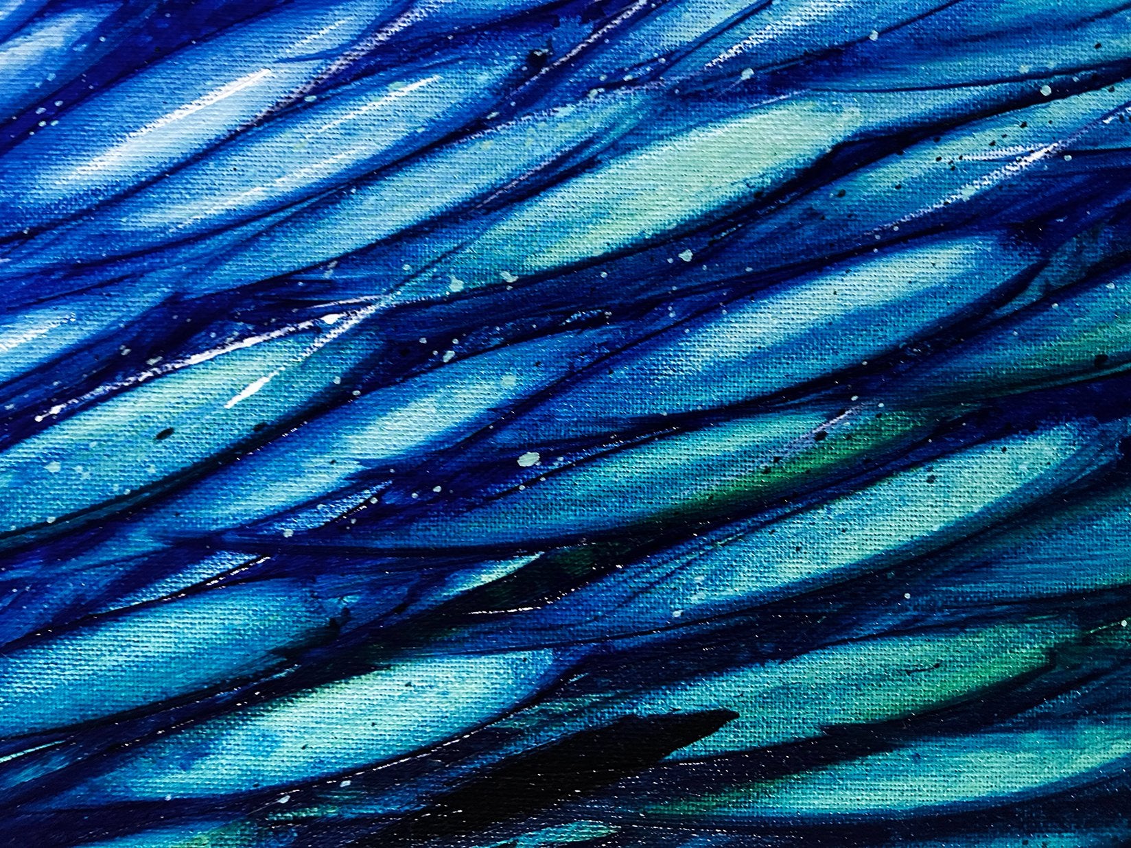 69164a62e1b8ea140711df10_ultramarine-life-close-lr_1780864486359.jpg
