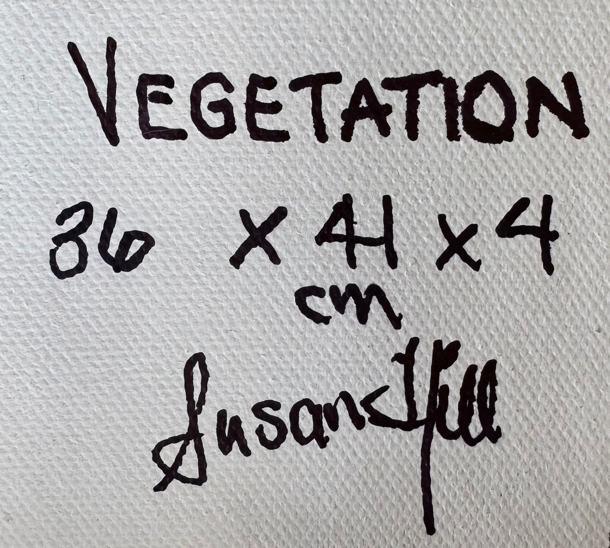 69164a62e1b8ea140711df10_veg-copy-sq-label_1788049196618.jpeg