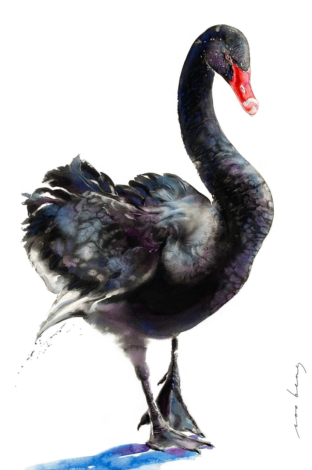 69164a62e1b8ea140711df10_velvet-swan_1788241645265.jpg