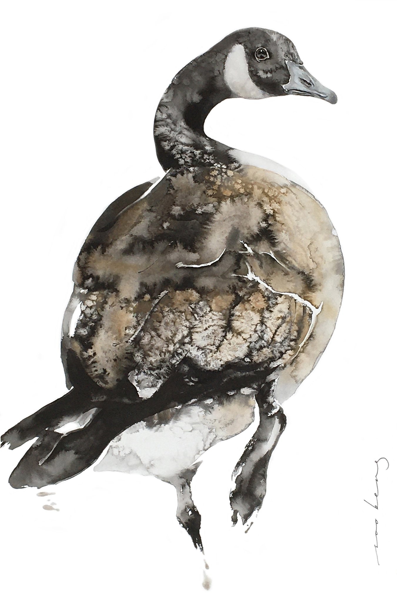 69164a62e1b8ea140711df10_waddling-goose_1774741666515.jpg