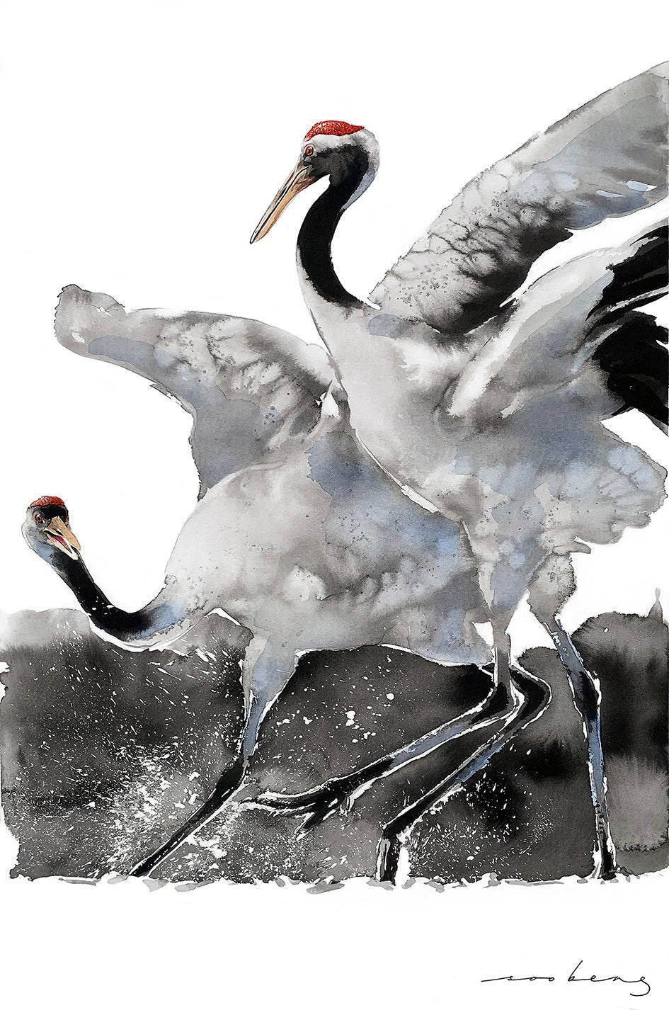69164a62e1b8ea140711df10_waltz-of-wings_1773268481156.jpg