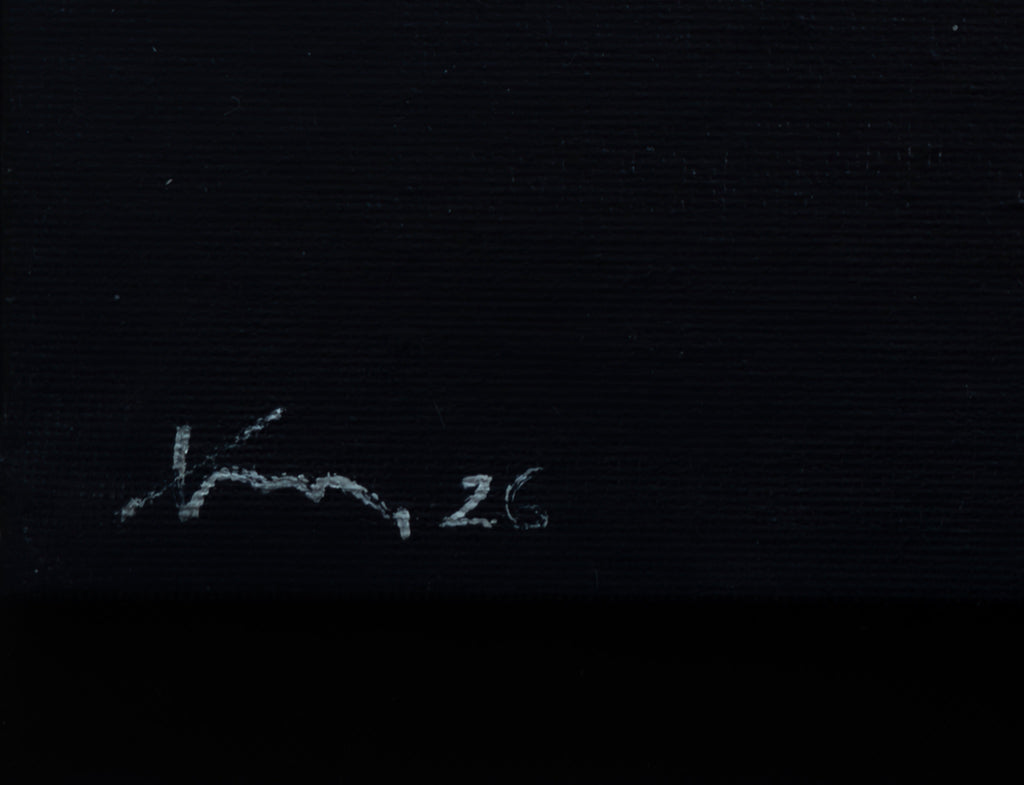 69164a62e1b8ea140711df10_wasteland-5-2_1788735696119.jpg