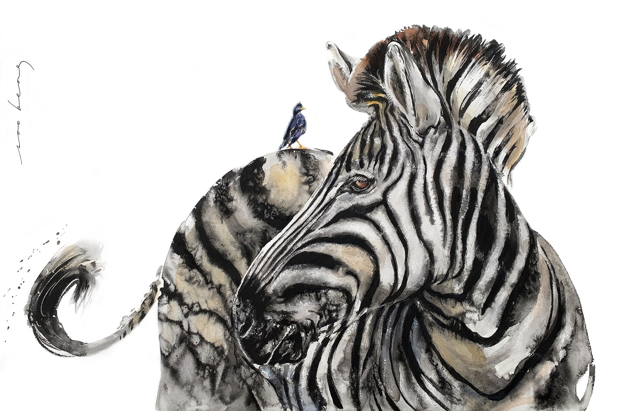 69164a62e1b8ea140711df10_watchful-stripes-copy_1774662610716.jpg