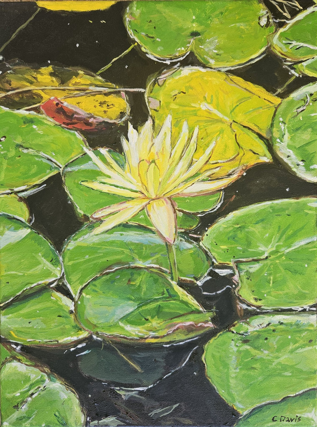 69164a62e1b8ea140711df10_water-lily-bluethumb_1768531859344.jpg