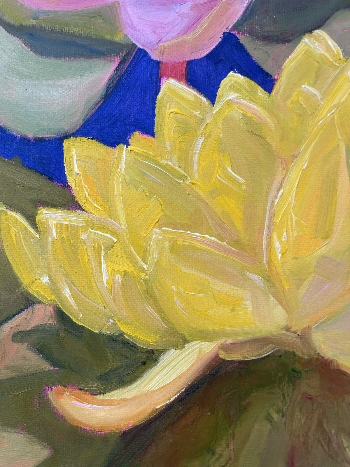 69164a62e1b8ea140711df10_water-lily-close-up1_1792472931680.jpg