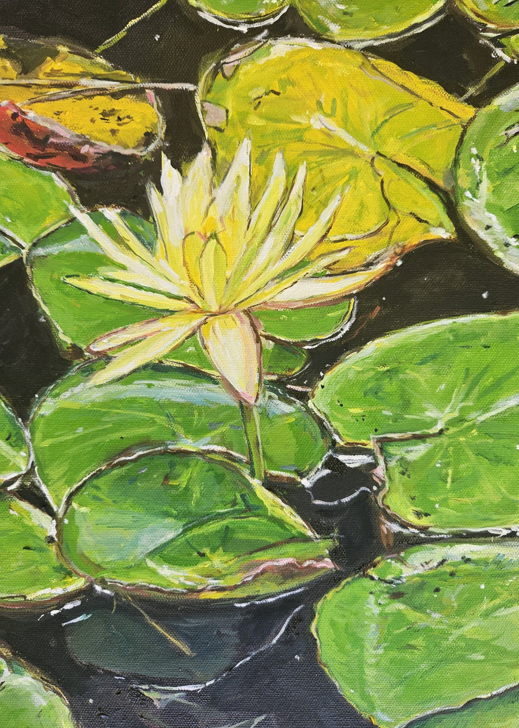 69164a62e1b8ea140711df10_water-lily-details_1768531969009.jpg