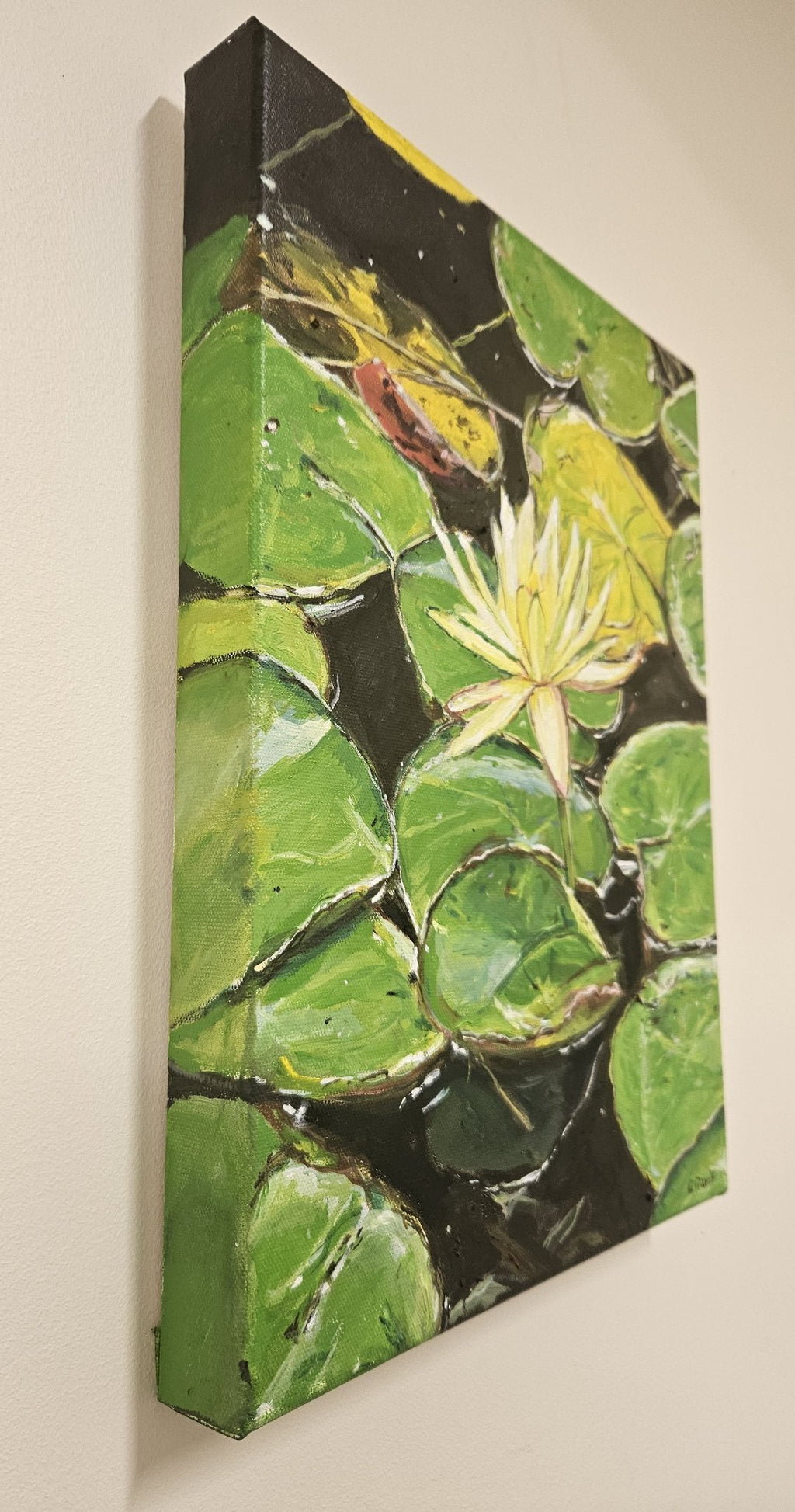 69164a62e1b8ea140711df10_water-lily-edges_1768531942874.jpg