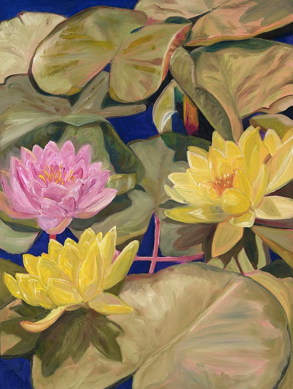 69164a62e1b8ea140711df10_water-lily_1792472921329.jpg