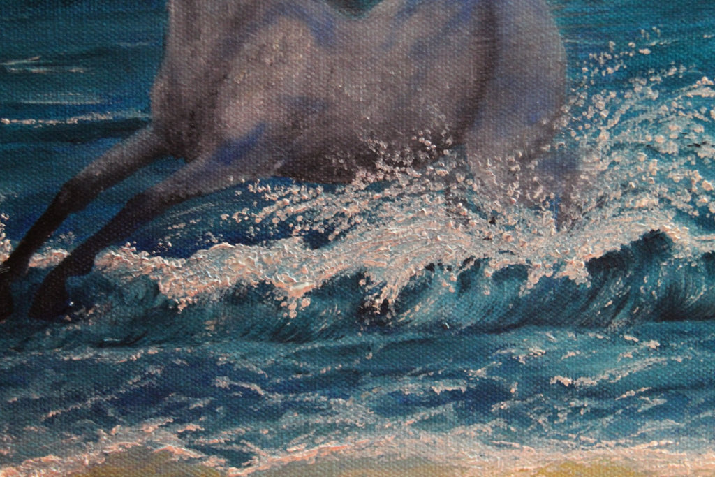 69164a62e1b8ea140711df10_wave-dancer-b_1778170481403.jpg