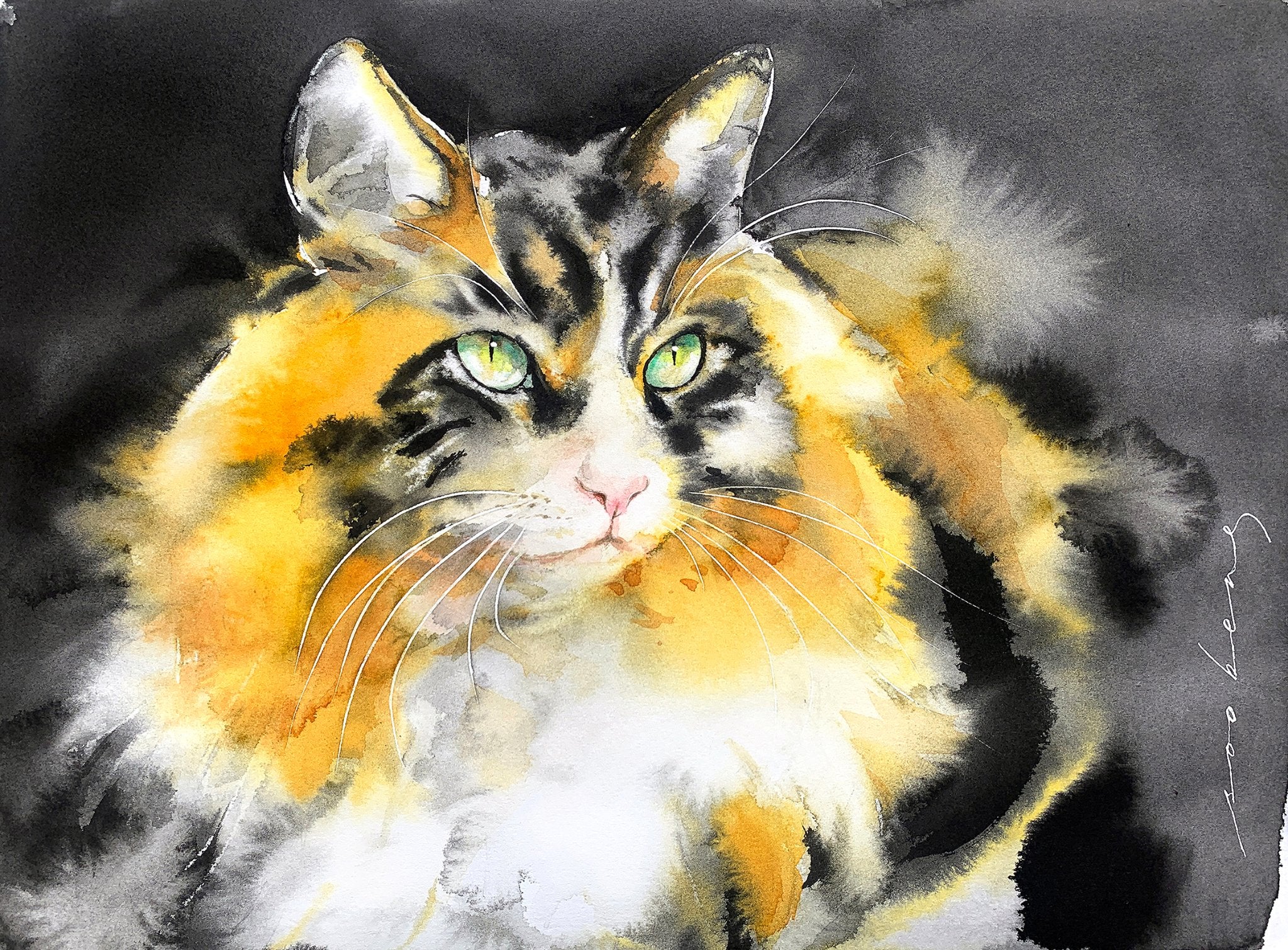 69164a62e1b8ea140711df10_whiskered-wonder-copy_1773177462903.jpg