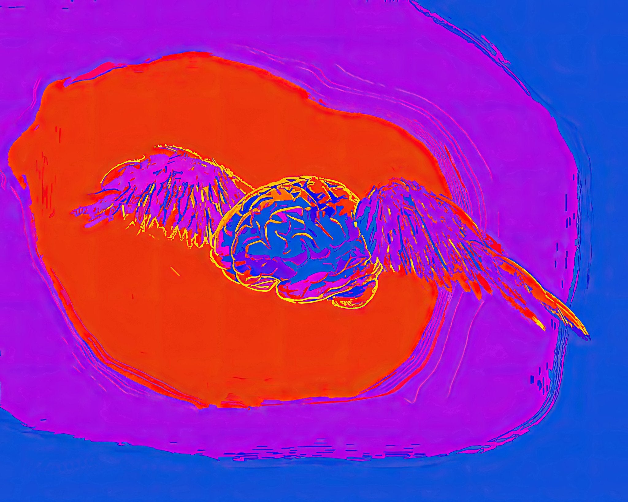 69164a62e1b8ea140711df10_whispers-of-thought-a-flight-of-ideas-free-flying-brains-_1775900129641.jpg