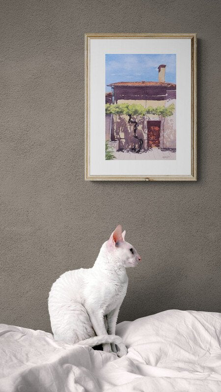 69164a62e1b8ea140711df10_white-cat-sitting-on-a-bed_1786357076459.jpg