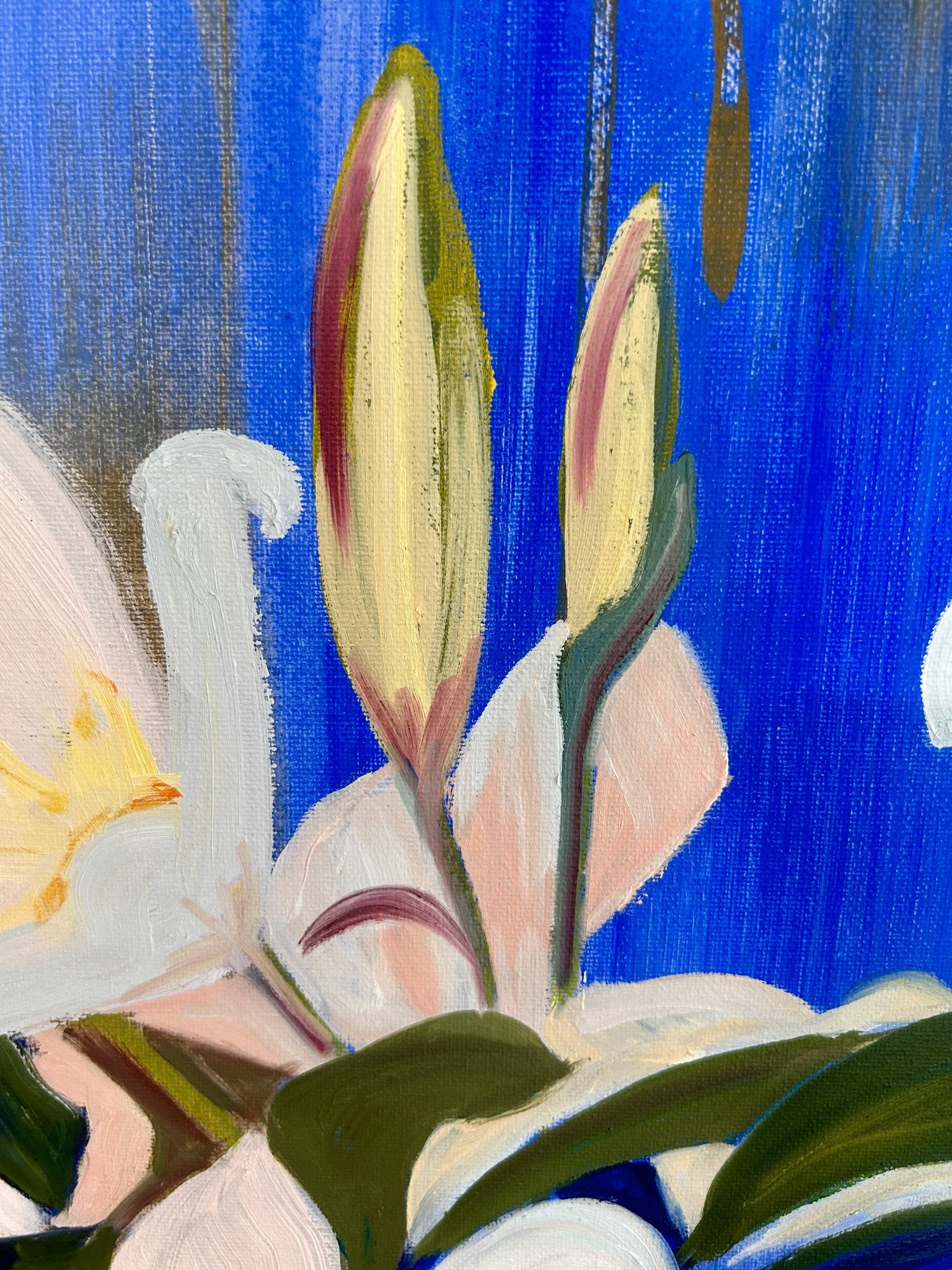 69164a62e1b8ea140711df10_white-lillies-close-up2jpeg_1774928290690.jpeg