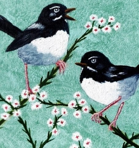 69164a62e1b8ea140711df10_willy-wagtail-small-detail_1777258153775.jpg