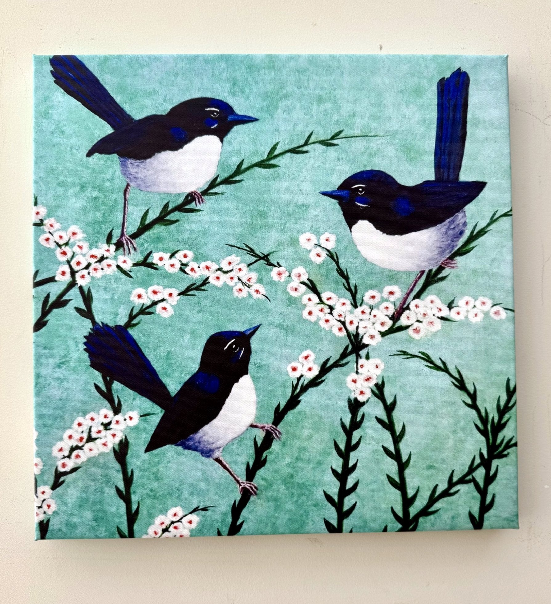 69164a62e1b8ea140711df10_willy-wagtails-5_1778986278363.jpg