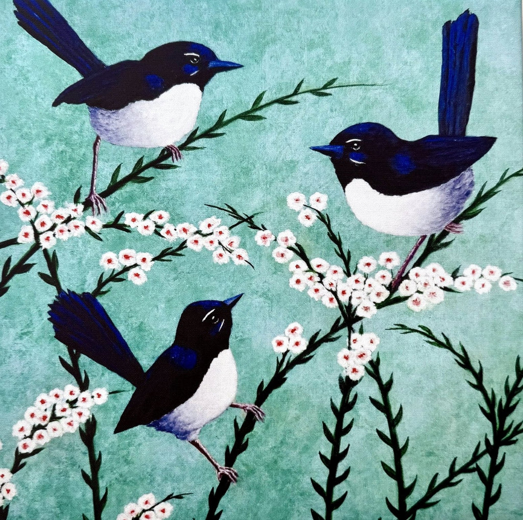 69164a62e1b8ea140711df10_willy-wagtails-5_1778986278364.jpg