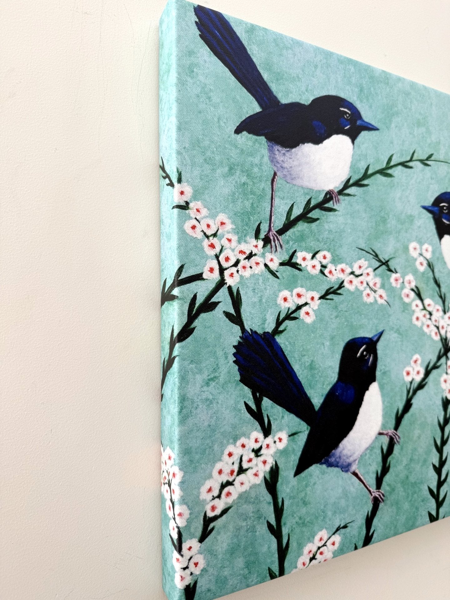 69164a62e1b8ea140711df10_willy-wagtails-5_1780202778573.jpg