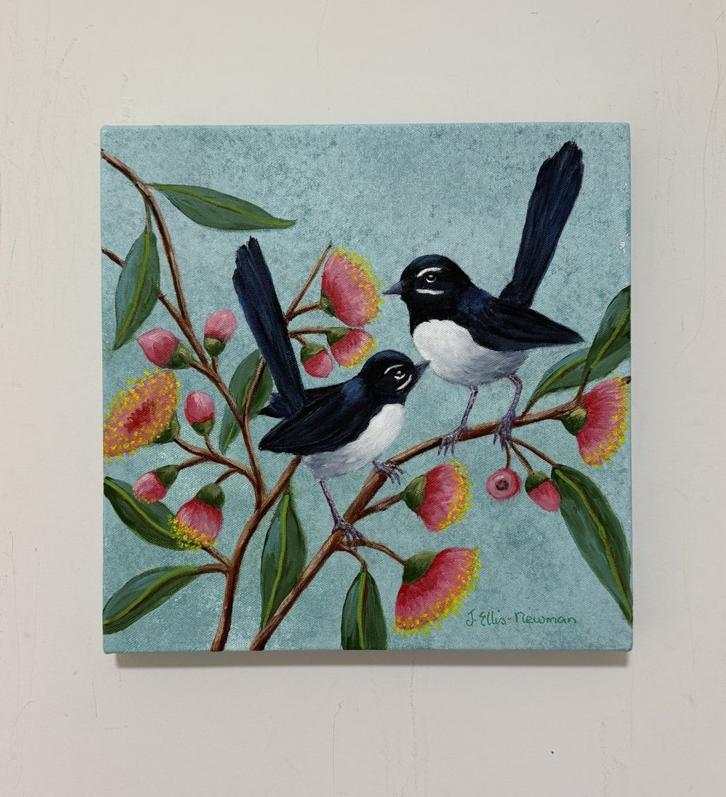 69164a62e1b8ea140711df10_willy-wagtails-on-pink-gum-flowers_1787911265977.jpg