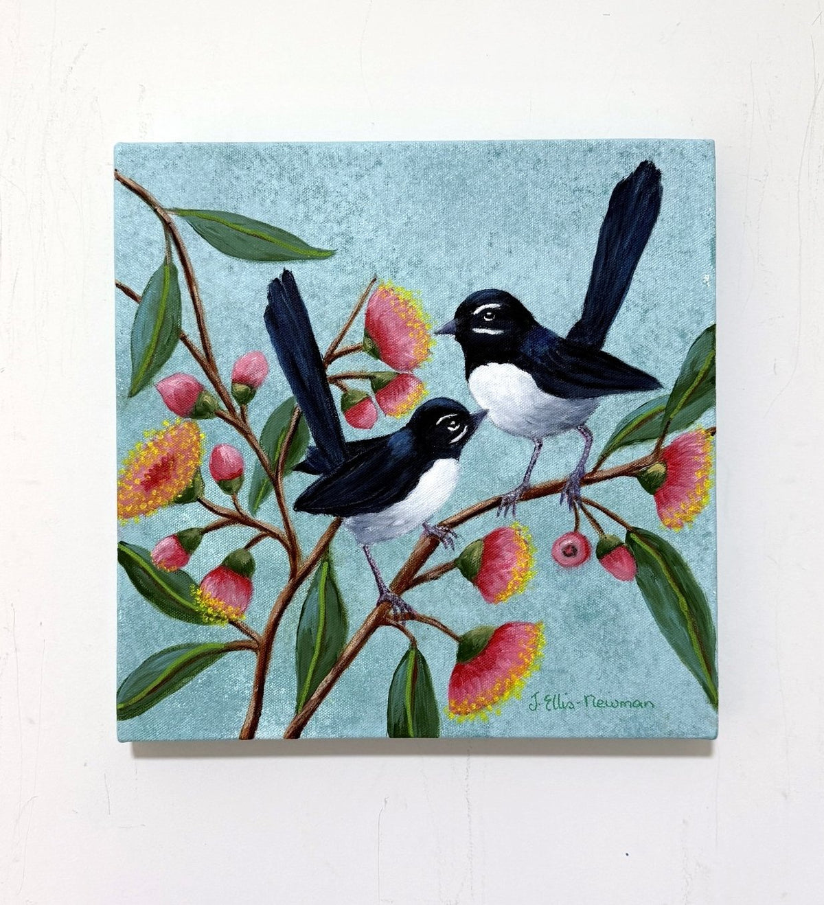 69164a62e1b8ea140711df10_willy-wagtails-on-pink-gum-flowers_1792483308696.jpg