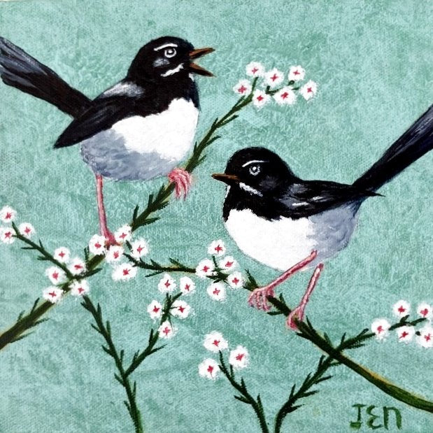 69164a62e1b8ea140711df10_willy-wagtails-small_1777258098760.jpg
