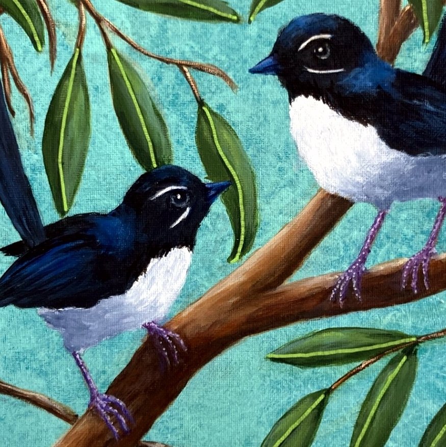69164a62e1b8ea140711df10_willy-wagtails-with-leaves-cropped_1791528895585.jpg