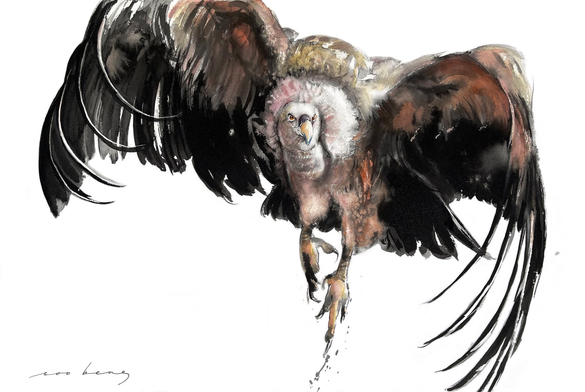69164a62e1b8ea140711df10_windborne-copy_1773144550903.jpg