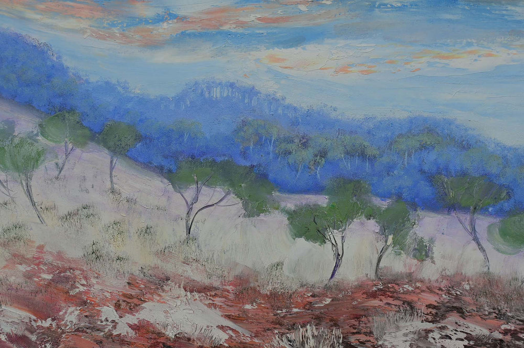 69164a62e1b8ea140711df10_windswept-sky-outback-australia-detail_1775370360259.jpg