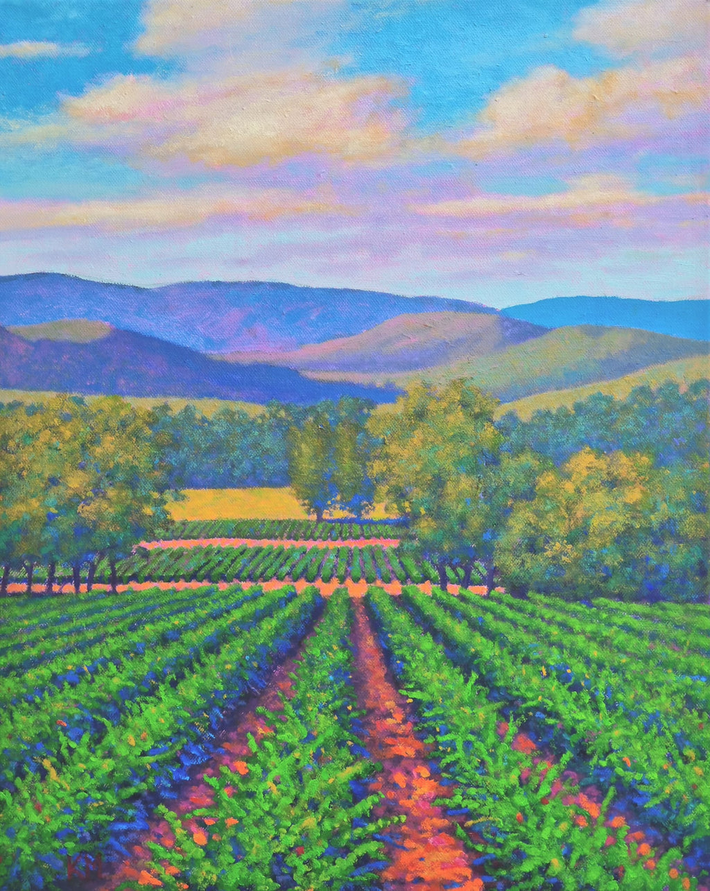 69164a62e1b8ea140711df10_wine-country_1769732088811.jpeg