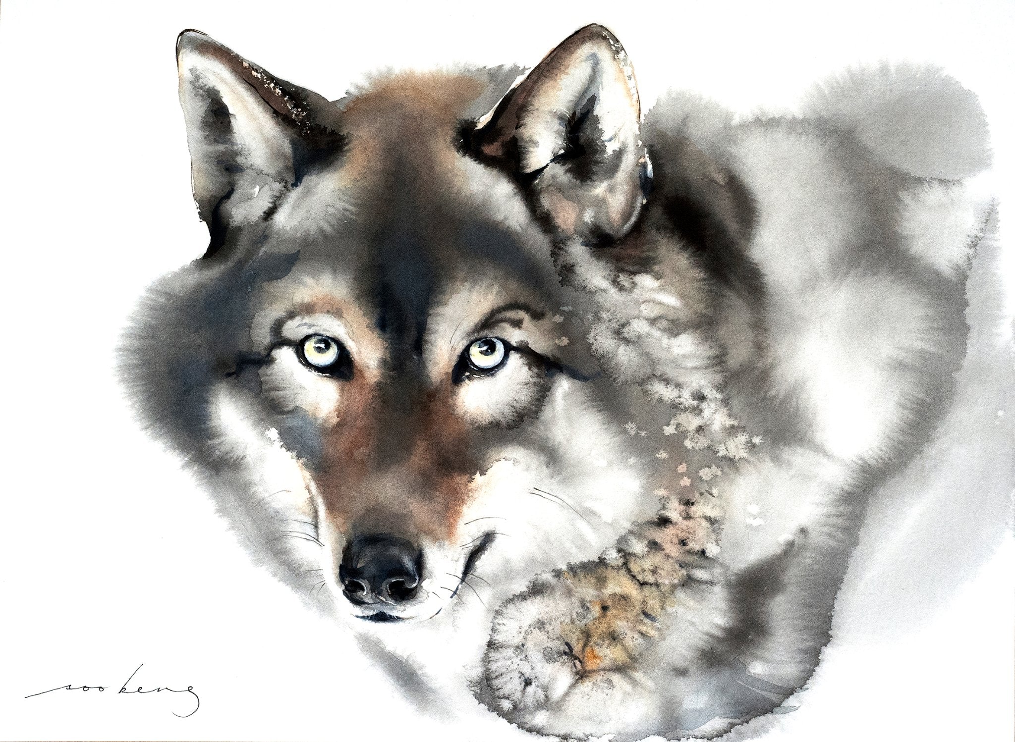 69164a62e1b8ea140711df10_wolf2_1774910488952.jpg