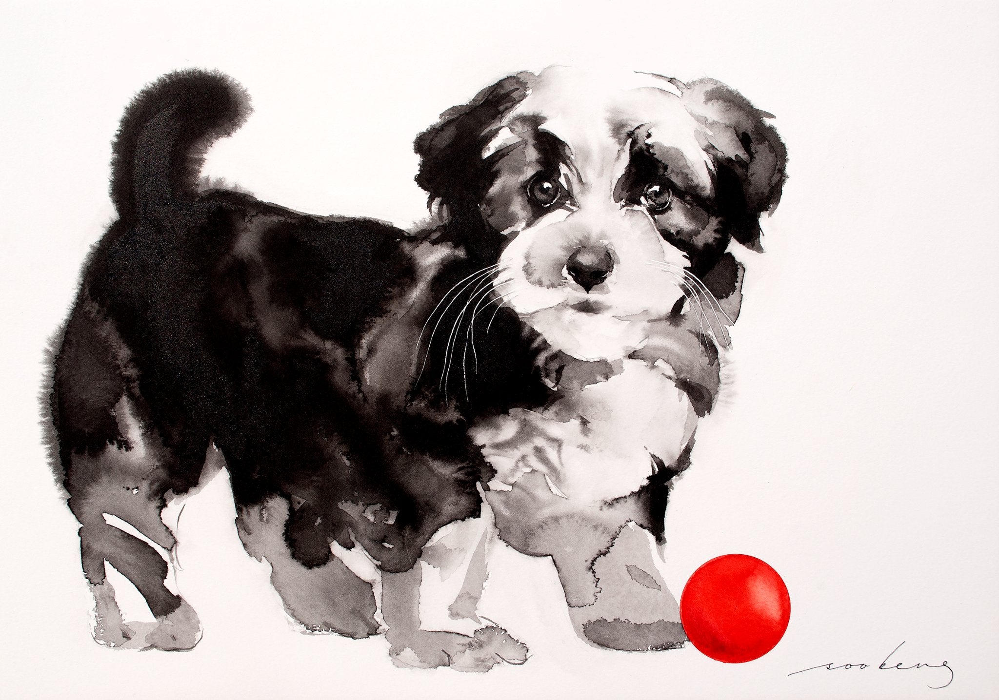 69164a62e1b8ea140711df10_yang-pup2_1774739518276.jpg
