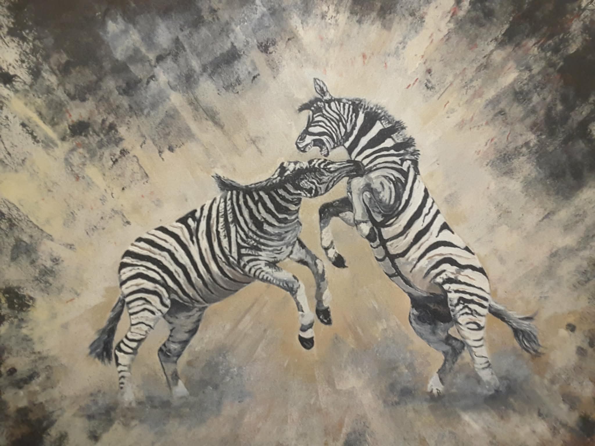 69164a62e1b8ea140711df10_zebras_1779519562321.jpg