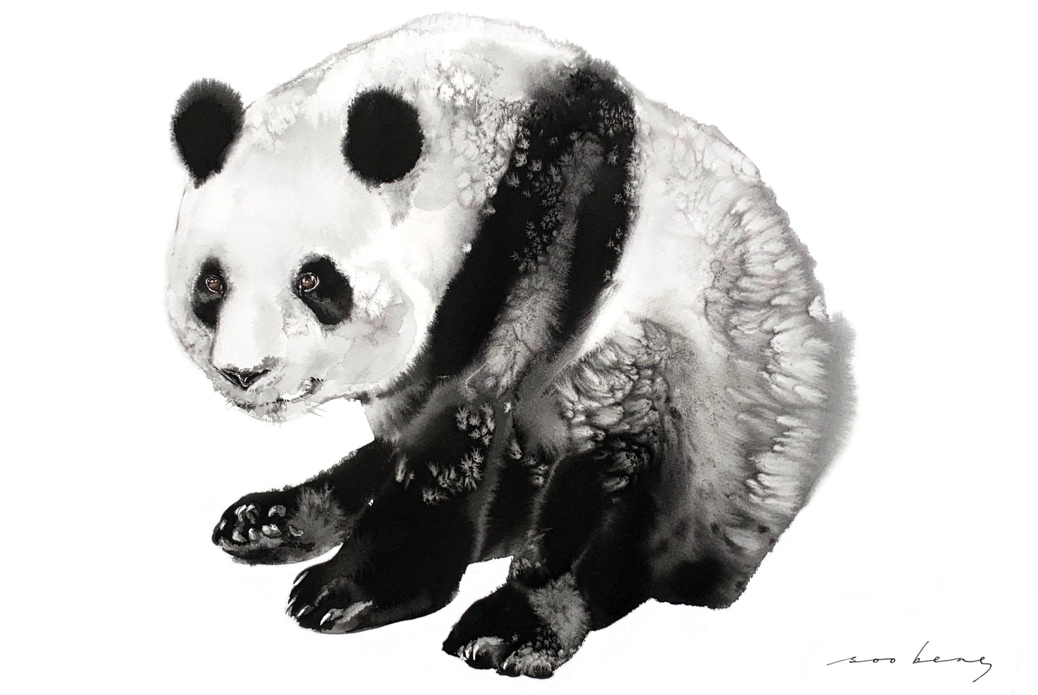 69164a62e1b8ea140711df10_zen-panda-pose_1779947055182.jpg