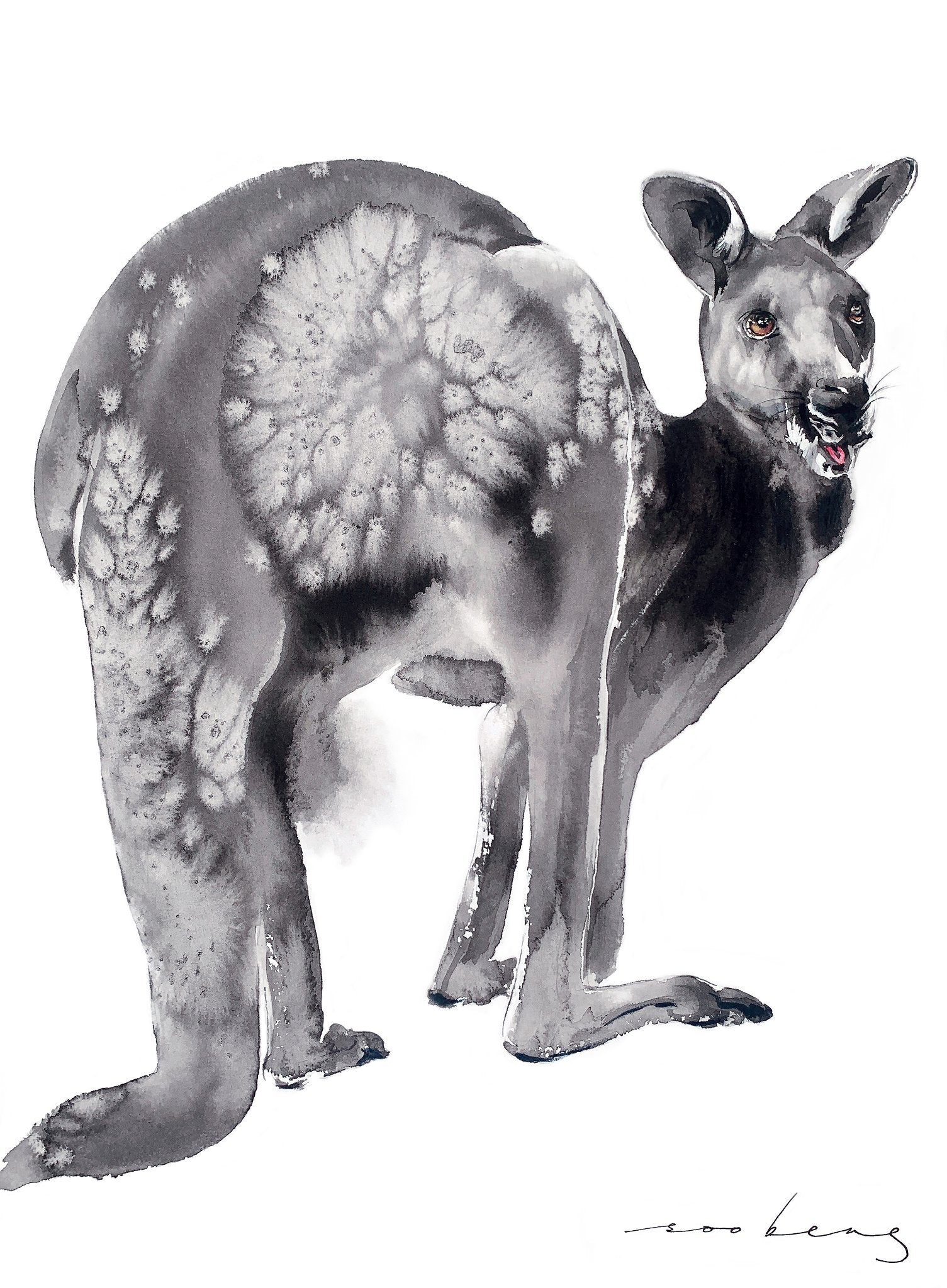 69164a62e1b8ea140711df10_zen-roo_1773264706207.jpg